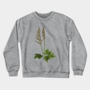 Northern Grape Fern Crewneck Sweatshirt